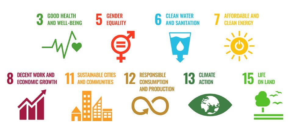 Supporting the sustainable development goals